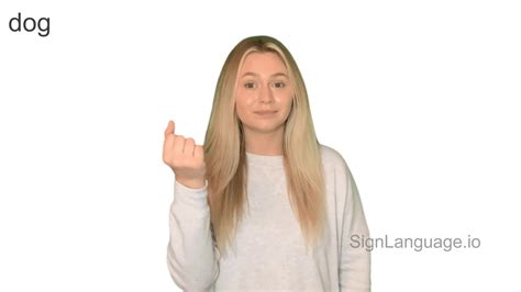 dog in ASL - Example # 6 - American Sign Language