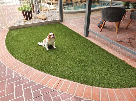Things To Know Before You Buy Artificial Turf For Dogs and Pets ...