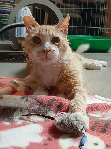 Congratulations to “Big... - VCA Village Park Animal Hospital | Facebook