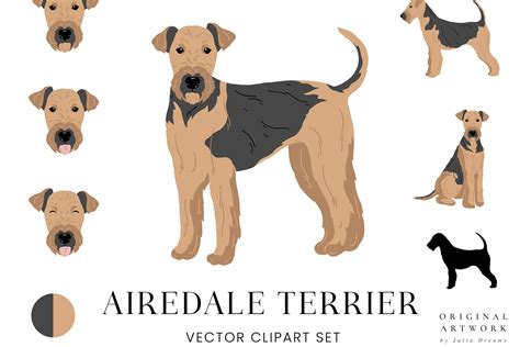 Finding an airedale terrier for sale is surprisingly easy this year 12