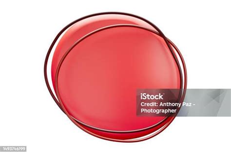 bentuk amuba berwarna  digunakan sebagai basis teks  tanda