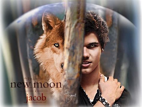 Jacob Black Wolf