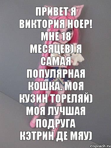 Привет Я Виктория Ноер! Мне 18 месяцев) Я самая популярная кошка. Моя ...