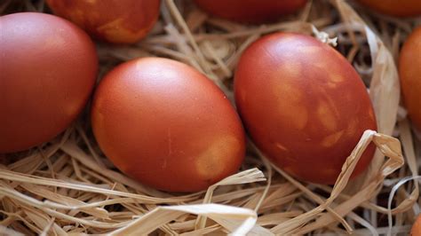 Великдень Wielkanoc Easter - Free photo on Pixabay - Pixabay