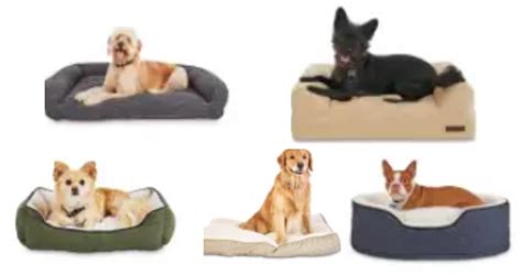 Petco Sale | Dog Beds Starting at $10 :: Southern Savers