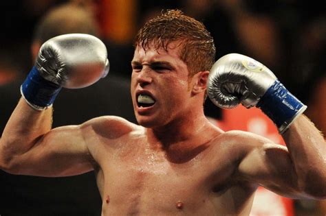 [100+] Canelo Alvarez Wallpapers | Wallpapers.com