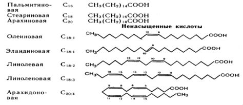 22. Высшие жирные кислоты (вжк): строение, конфигурация двойных связей ...