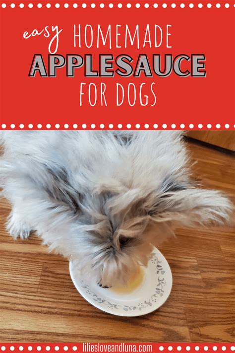 applesauce  dogs lilies love  luna