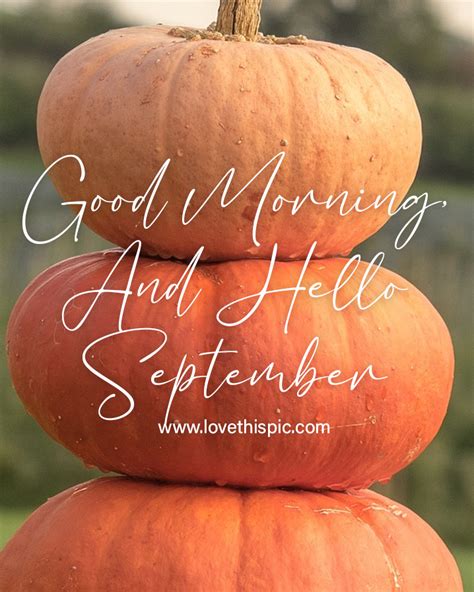 good morning  september  pumpkins pictures