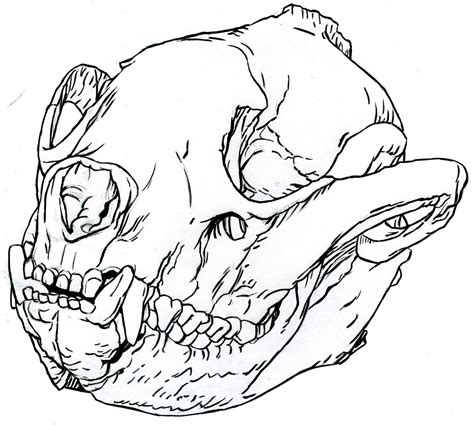 Skul Drawing at GetDrawings | Free download