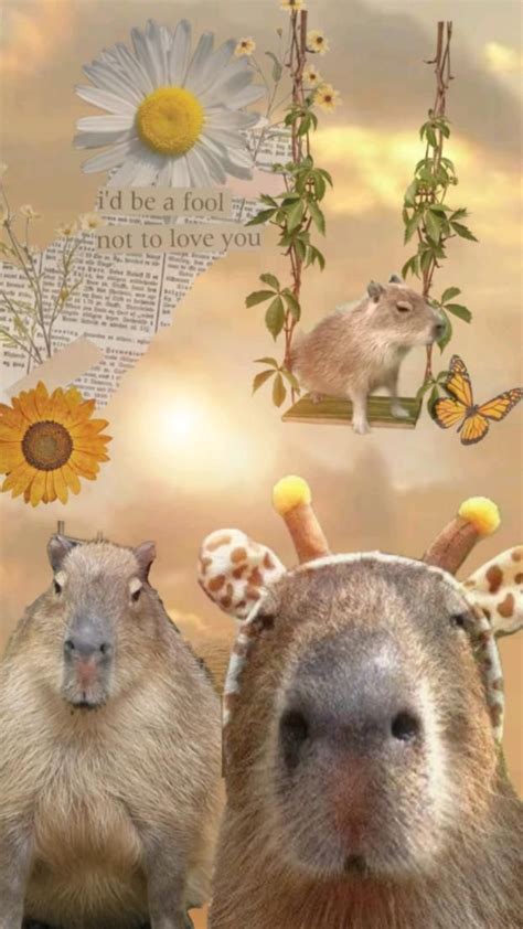 обои с капибарой(делала сама)) in 2023 | Cute animals, Phone wallpaper