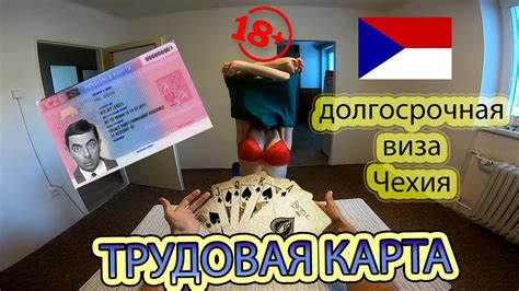 Карты для взрослых 18+. Трудовая карта в Чехию. Вся правда! - YouTube