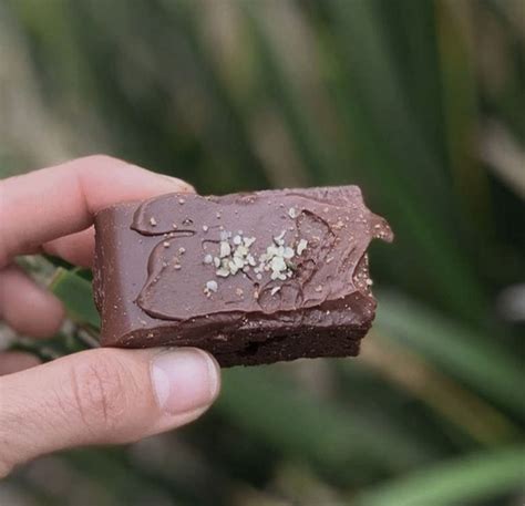 This Delicious Reishi Mushroom Chocolate Is Actually Healthy - RYZE Superfoods