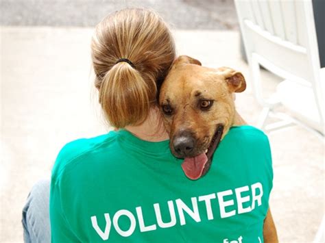 Tipos De Trabalho Voluntario