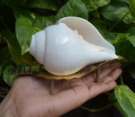 Spiritual Puja Blowing Shankh & Abhishek Shankha Vibration - Etsy