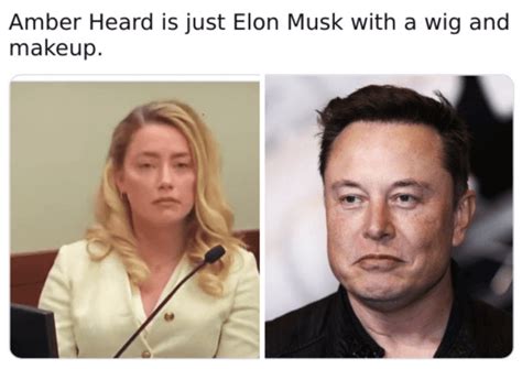 johnny depp  amber heard memes
