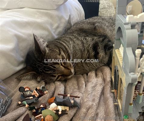 Angelicfuckdoll / angelicfukdoll Exclusive Leaked Nude Onlyfans #600455