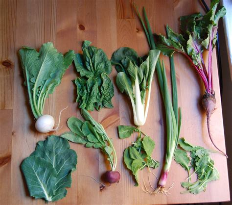 greens | different edible greens I get from the farm | Marina | Flickr
