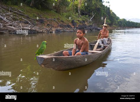 Amerindian villager and young boy with parrot paddle a dugout canoe ...