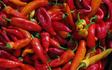 Download Food Pepper HD Wallpaper