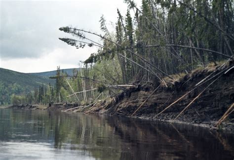 Nowitna River | ALASKA.ORG