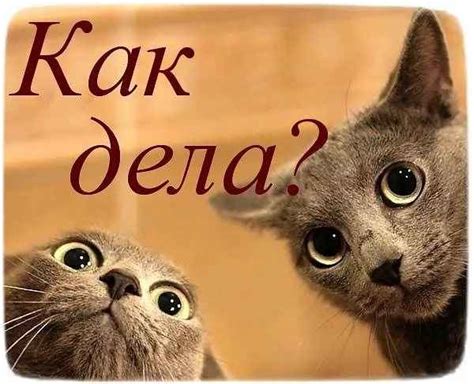 Картинки "Как дела?" (63 фото)