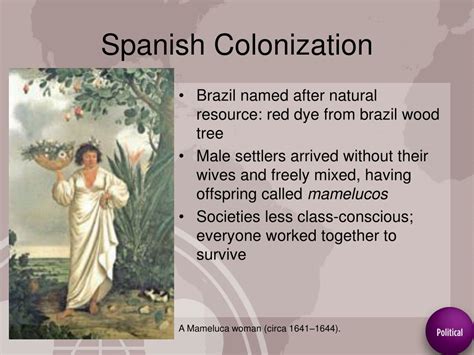 Backpage Latina And Its Lasting Impact: A Critical Analysis Image 16