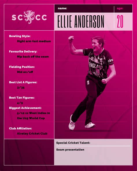 Somerset Sign Ellie Anderson - Somerset