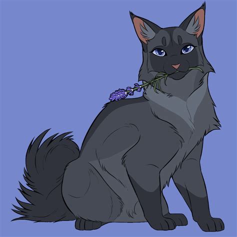 Коты воители (58 фото) от eramSeack