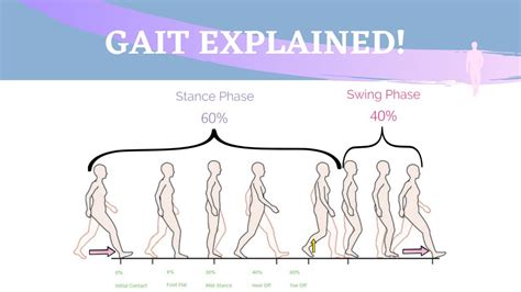 Gait Range of Motion Animation - YouTube