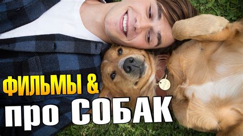 Лучшие фильмы про СОБАК (ТОП 11) - YouTube