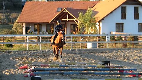 Cavaletti - YouTube