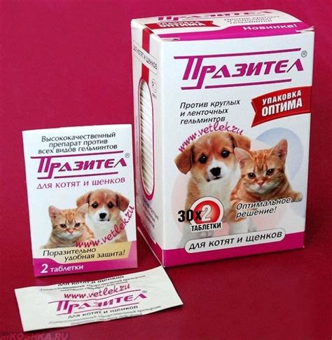 Почему кошка ходит по в туалет по большому с кровью: причины
