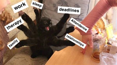 Please sir I need more hours in the day : r/UKUniversityStudents