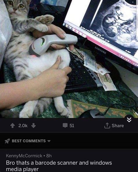 im the cat : r/whoosh