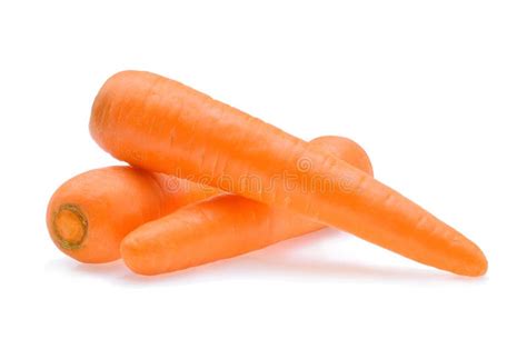 Carrot isolated on white stock photo. Image of sweet - 180713354