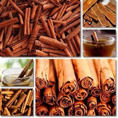 Properties and Benefits of Cinnamon Tea - NatureWord