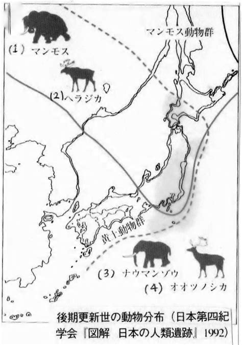 The Japanese Paleolithic – Heritage of Japan