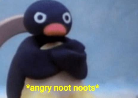 angry noot noots blank template imgflip