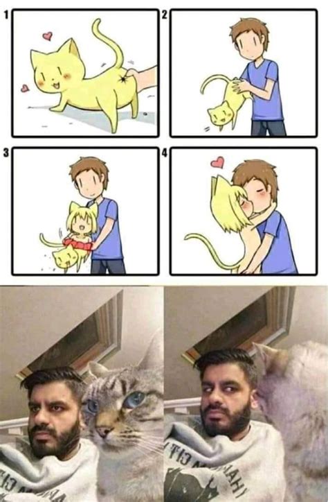 meme subido por koolokoko memedroid