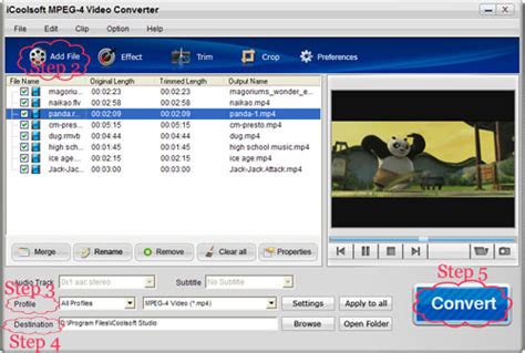 iCoolsoft MPEG-4 Video Converter - convert MPEG-4 files to any format ...
