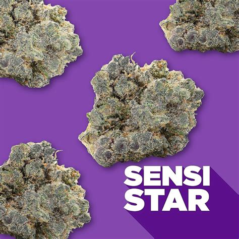 Spinach: Sensi Star | Leafly