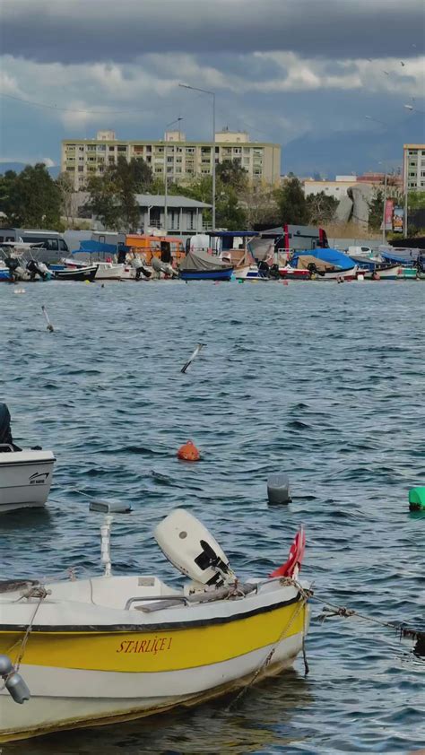 Ffm+Video Videos, Download The BEST Free 4k Stock Video Footage & Ffm