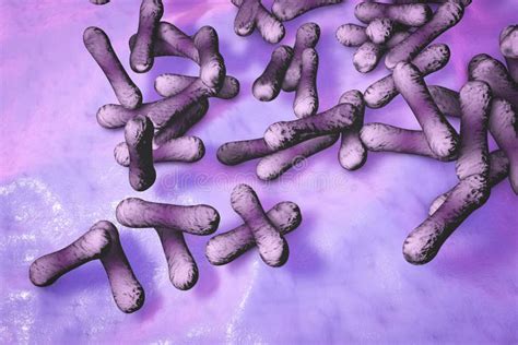 Bacteria Which Cause Diphtheria Stock Illustration - Illustration of ...
