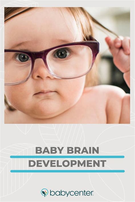 Baby brain development – Artofit