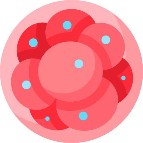 Zygote Special Flat icon