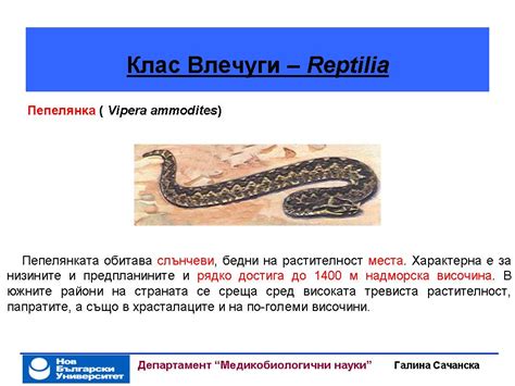 4.18 Животинско царство: Гръбначни животни. Земноводни и влечуги