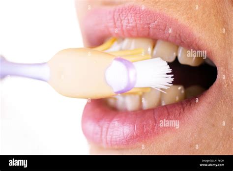 brush  teeth stock photo alamy