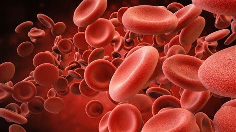 Can We Guess Your Blood Type? | HowStuffWorks
