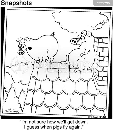 When Pigs Fly Cartoons and Comics - funny pictures from CartoonStock